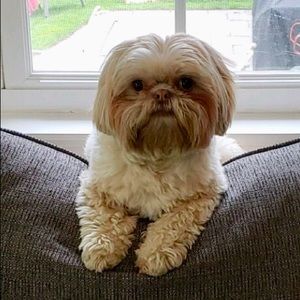 Meet your Posher, Mary ann